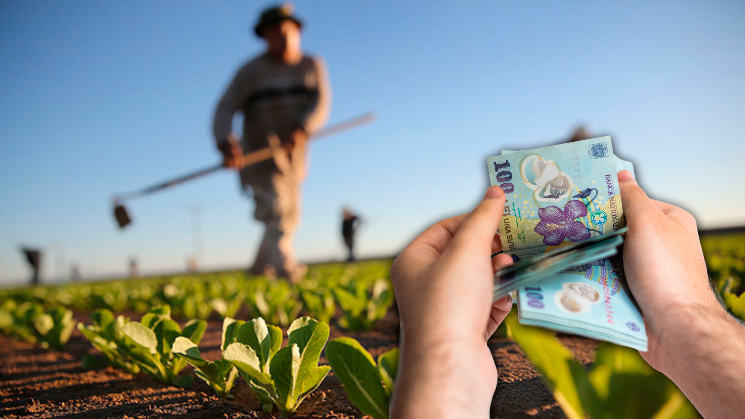 Bruxelles analizează simplificarea a peste 50.000 de reguli pentru agricultura europeană
