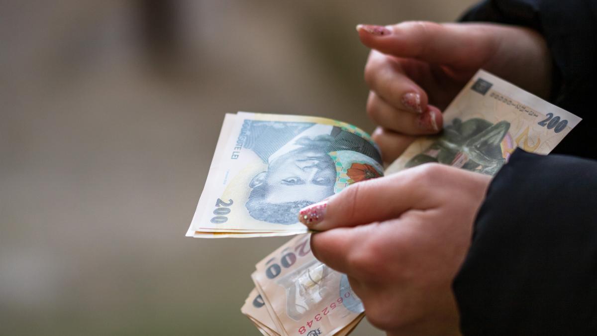 Impactul eliminării facilităților fiscale asupra sectorului IT și a economiei românești