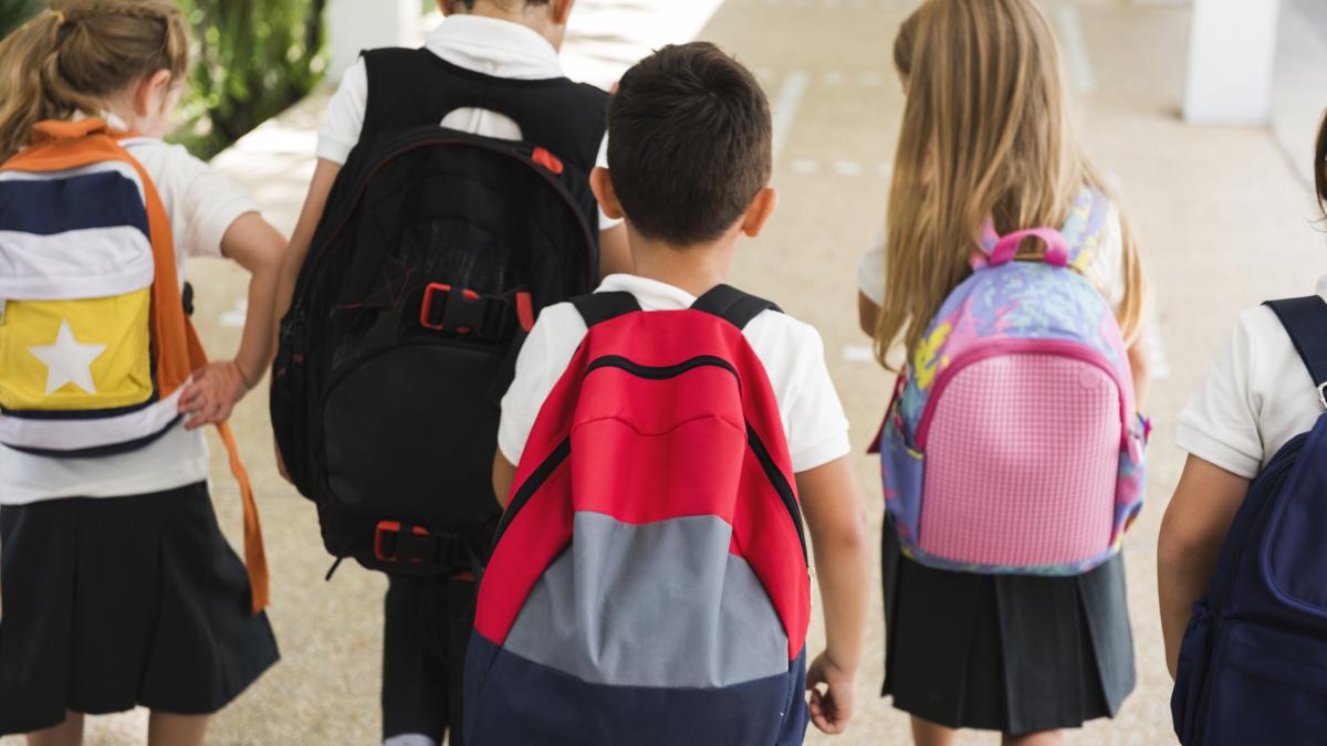 Programul de guvernare al Cabinetului Niculescu: măsuri pentru educație, burse sociale și reducerea birocrației