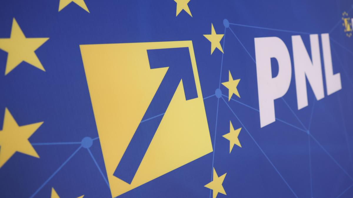 PNL se reunește sâmbătă pentru a decide dacă susține Guvernul Luca Niculescu