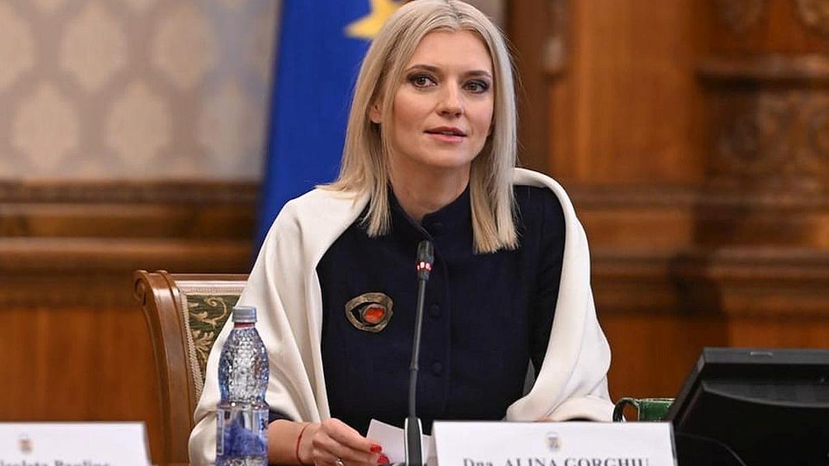 Alina Gorghiu avertizează că noul premier desemgnat nu are asigurată majoritatea în Parlament