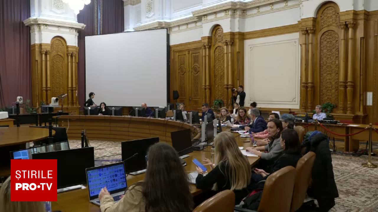 Lipsa normelor de aplicare pentru legea femicidului: instituțiile pasează responsabilitatea elaborării metodologiei