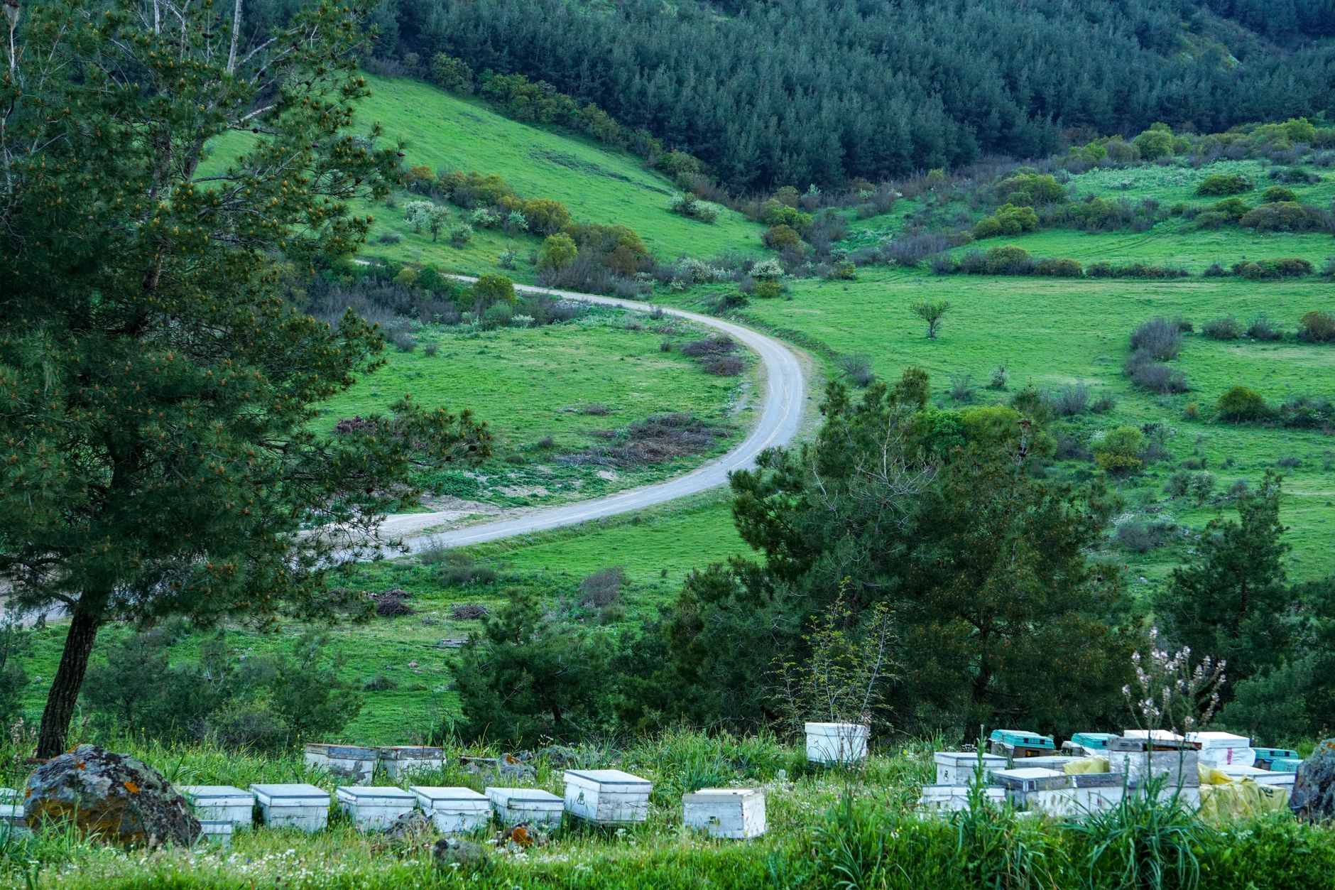 Propunere legislativă pentru scutirea apicultorilor de plata rovinietei