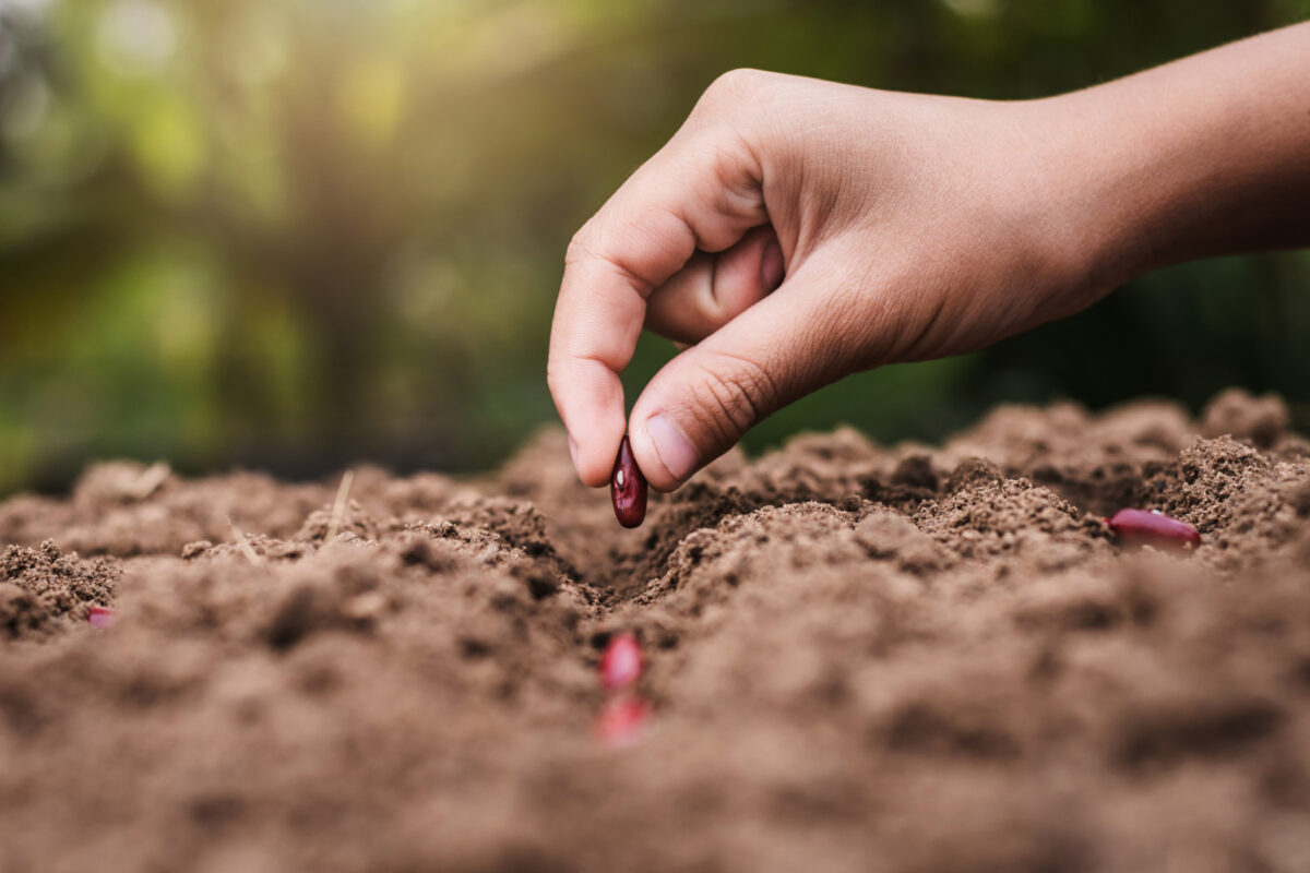 Clubul Fermierilor Români cere schimbarea modului de gestionare a riscurilor în agricultură