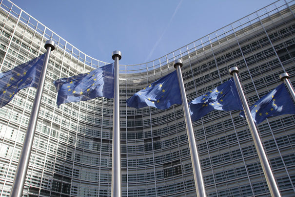 Statele UE limitează scutirea producătorilor de ambalaje de la numirea unui reprezentant autorizat