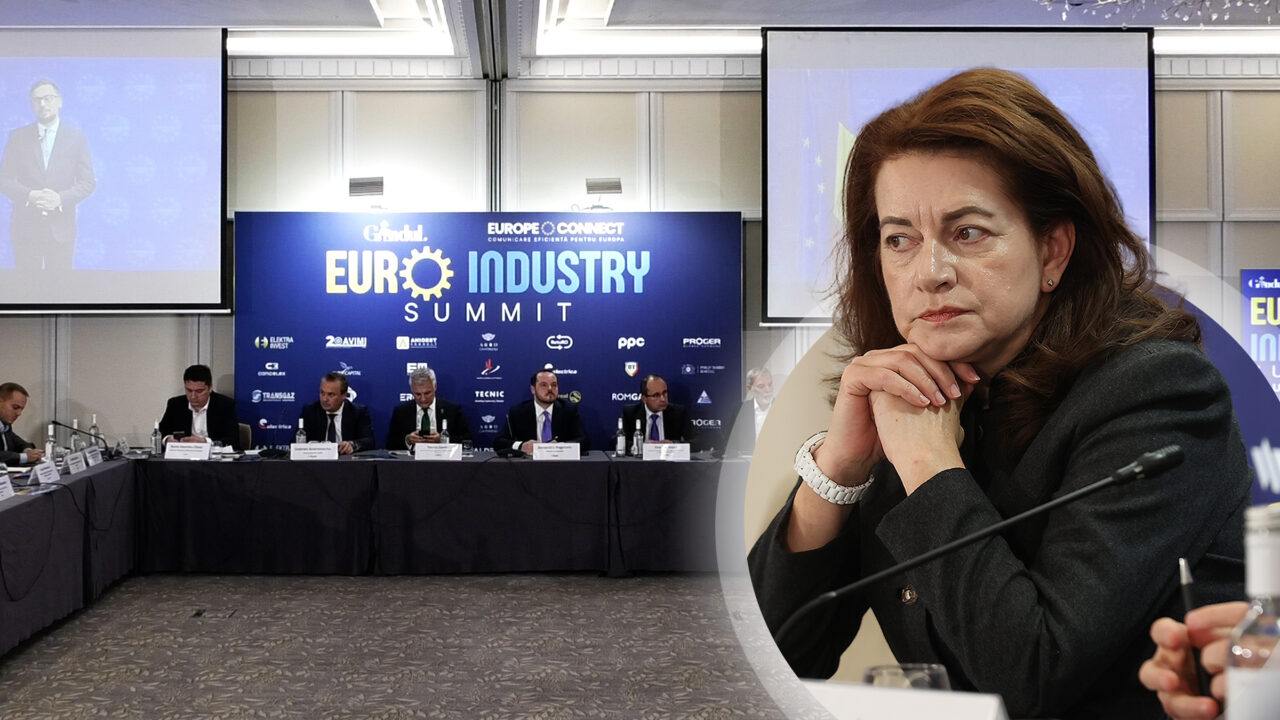 Mihaela Frăsineanu: Parteneriatul public-privat este singura soluție pentru proiectele economice