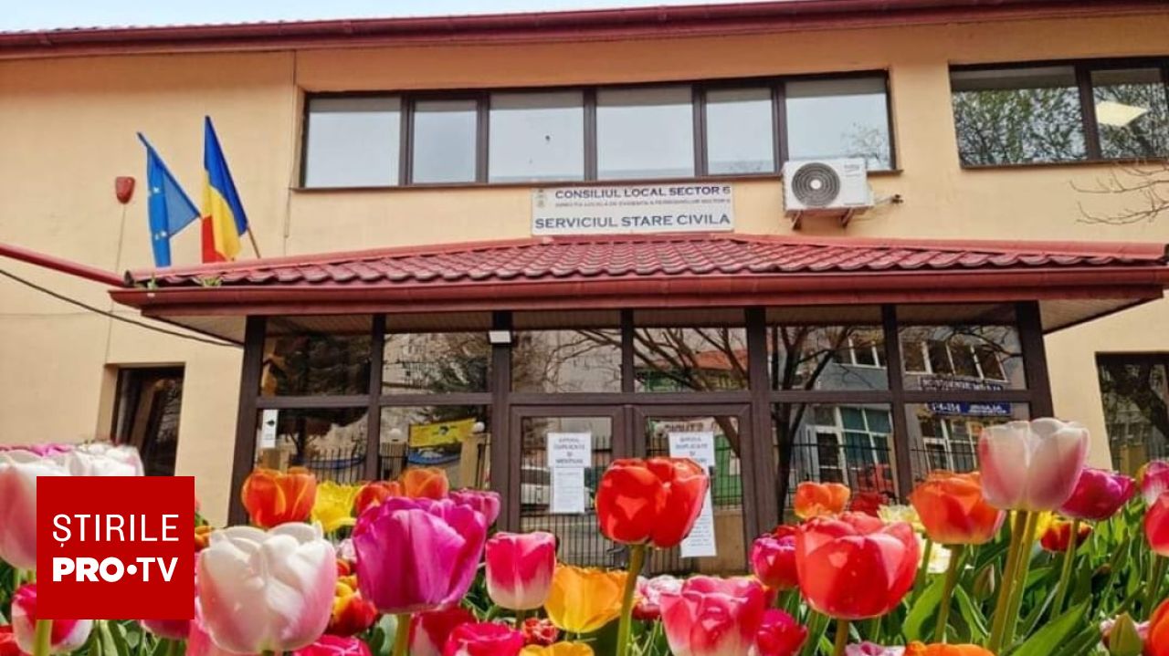 Un cetățean rus a obținut cetățenia română prin acte false; a fost condamnat cu amânarea executării pedepsei