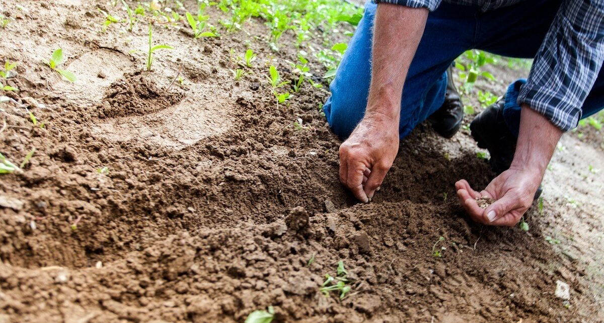 Tánczos Barna avertizează: Ministerul Agriculturii a pierdut 400 de milioane de lei la rectificarea bugetară