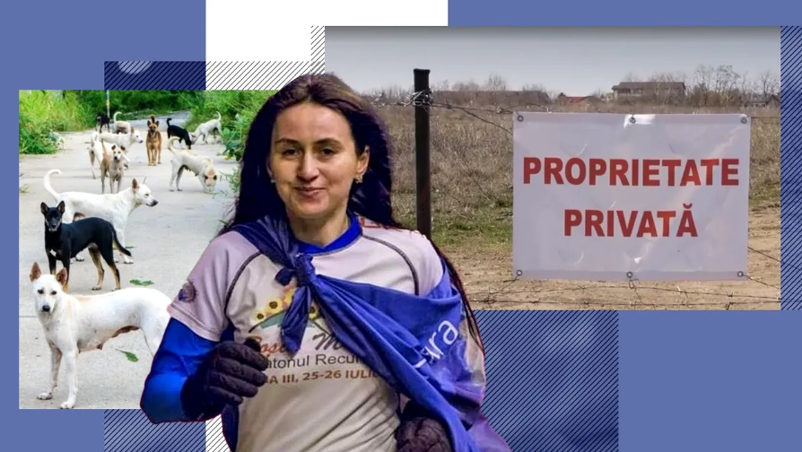 Proiect imobiliar pe terenul unde Ana Oroș a fost ucisă de câini. Dosarul penal a fost clasat