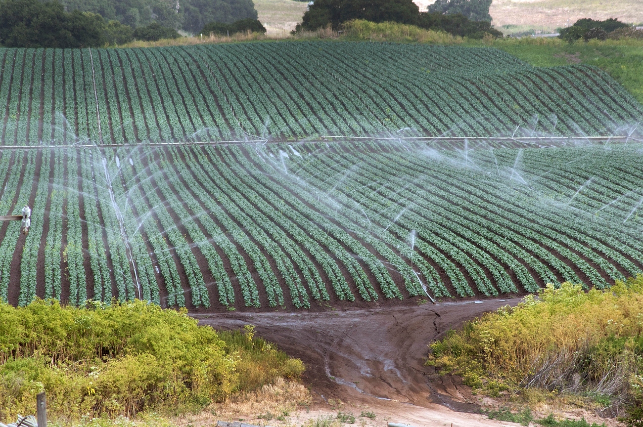 Rezultatele Eurobarometru: Europenii susțin agricultura și prioritizează calitatea alimentelor
