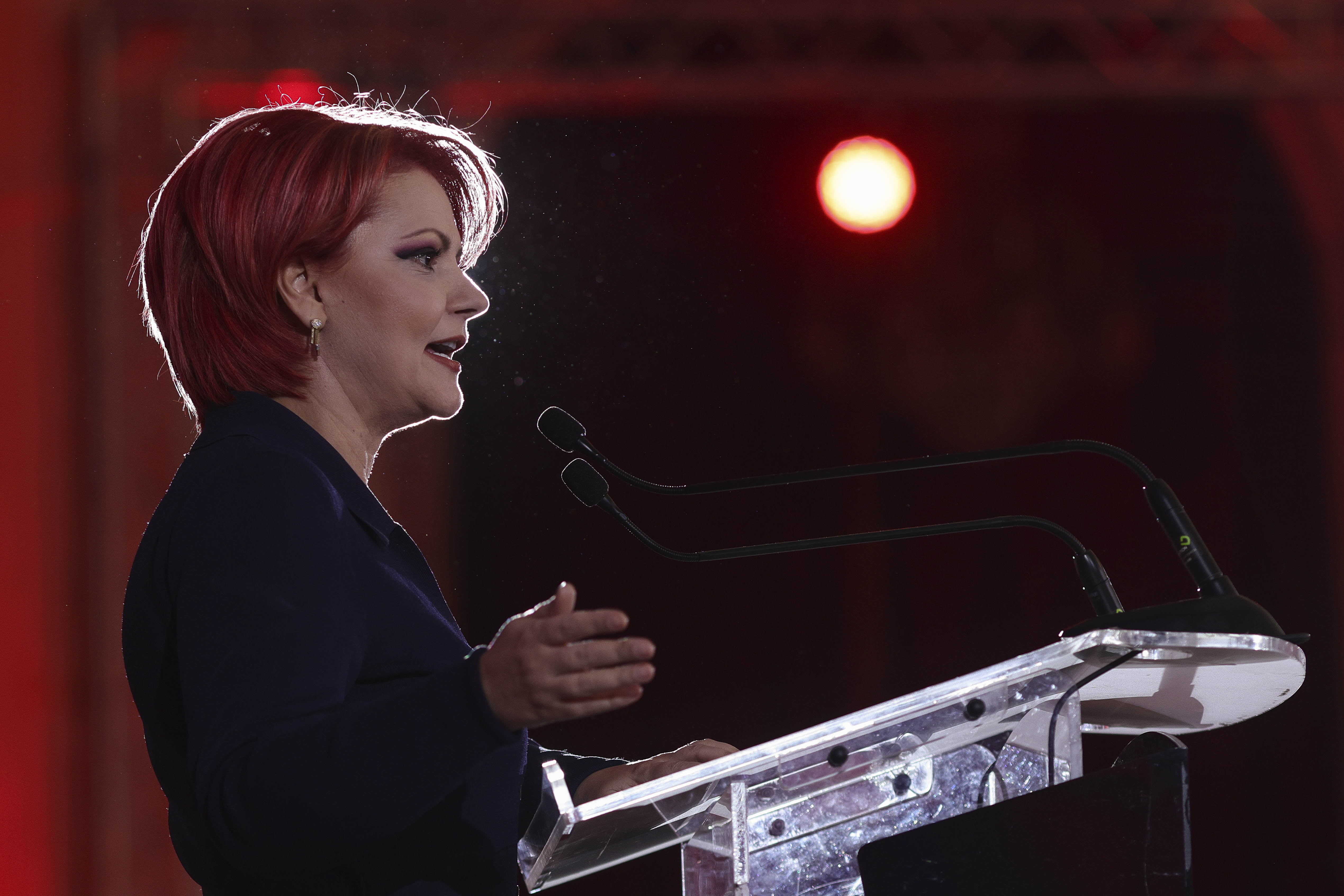 Răspunsul dur al Olguței Vasilescu la atacul lui Siegfried Mureșan: „E singura dvs. calitate”