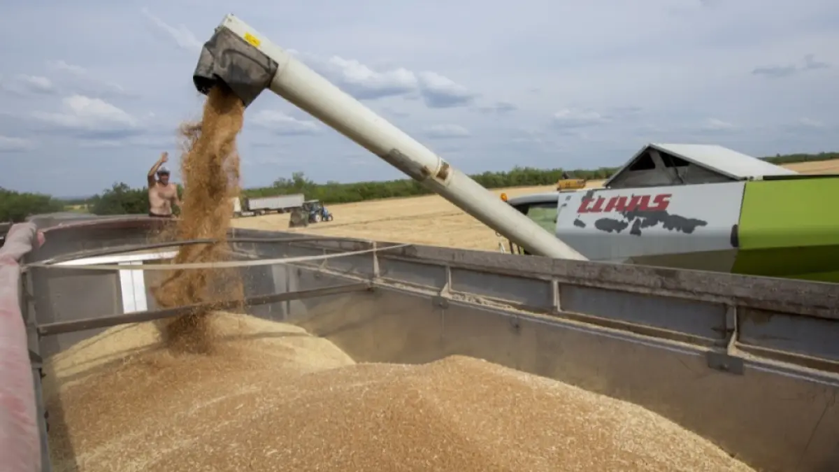 Dezinformare despre exporturile Republicii Moldova în Rusia și Belarus: ce a declarat ministrul Agriculturii