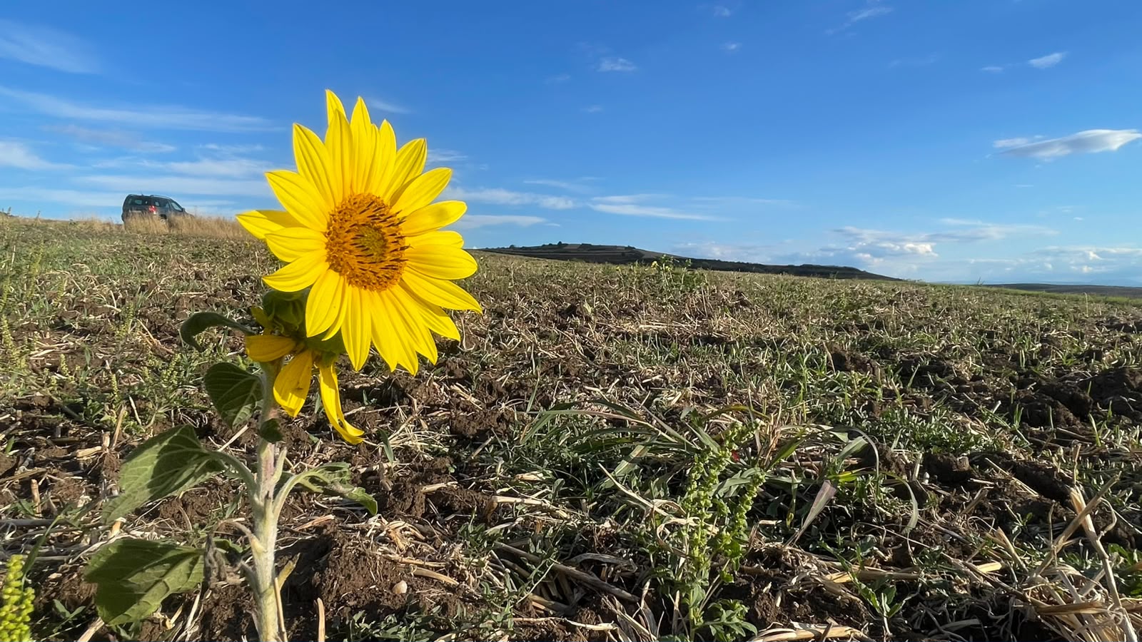 Falsuri despre agricultura Republicii Moldova în contextul aderării la UE: ce spun datele oficiale