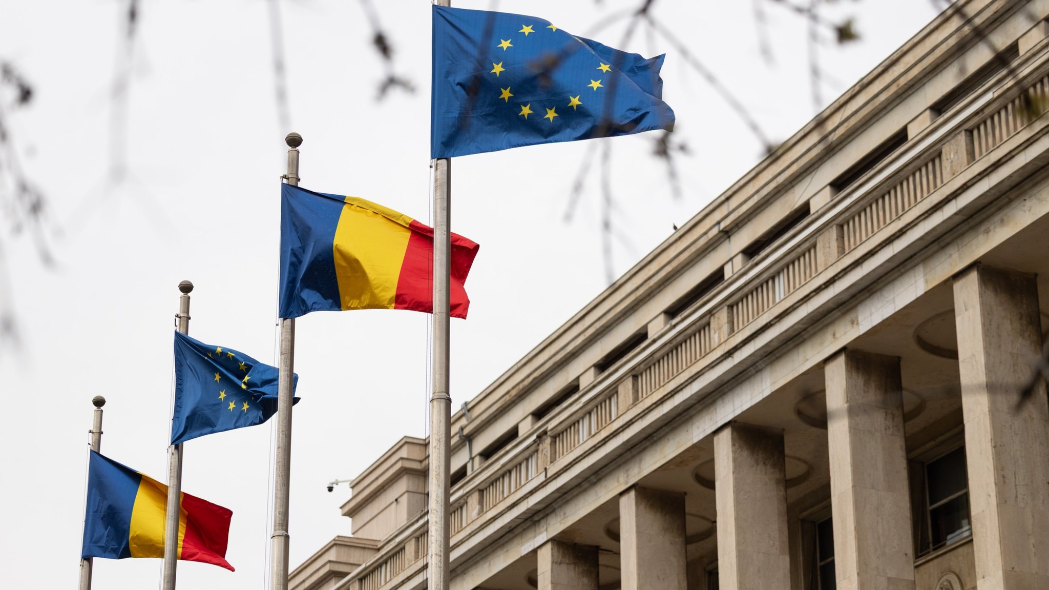 Protest masiv în Piața Victoriei: Fermierii și crescătorii de animale cer despăgubiri și demisia conducerii ANSVSA