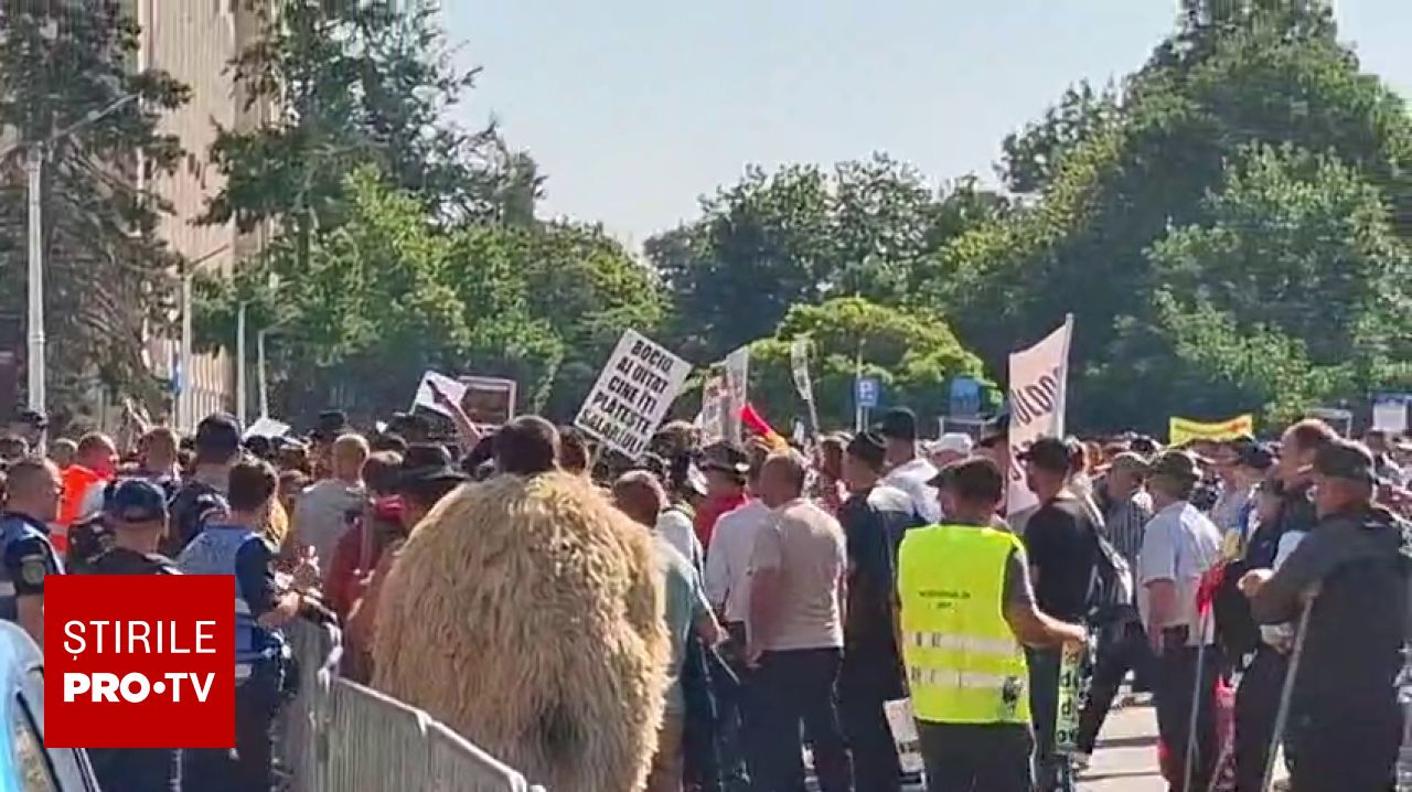 Protest de amploare al crescătorilor de ovine în fața Guvernului. Revendicările sunt clare