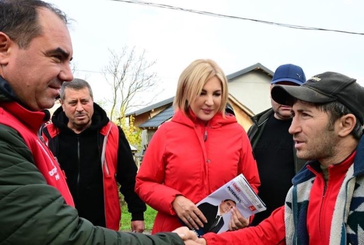 Senatoarea Alina Tănăsescu se retrage din comisia de anchetă privind zborul privat în Mykonos