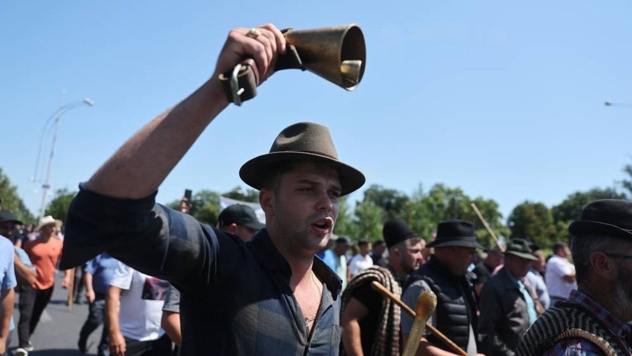 Protest de oieni în fața Guvernului: Crescătorii de animale protestează în Piața Victoriei