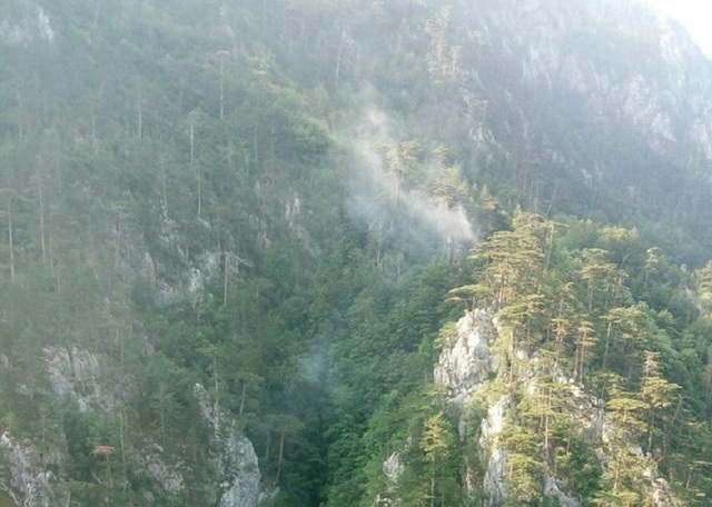 Ministerul Mediului propune noi norme pentru prevenirea incendiilor de pădure în contextul schimbărilor climatice