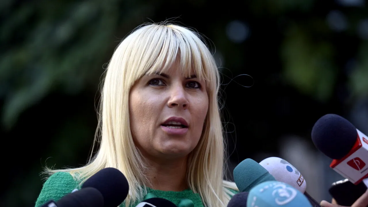Elena Udrea acuză de ipocrizie liderii PNL și USR după solidarizarea cu Ilie Bolojan
