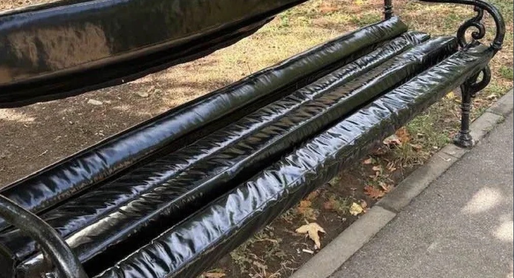 Controverse în Parcul Botanic din Timișoara după instalarea unor bănci cu tapițerie de vinil negru