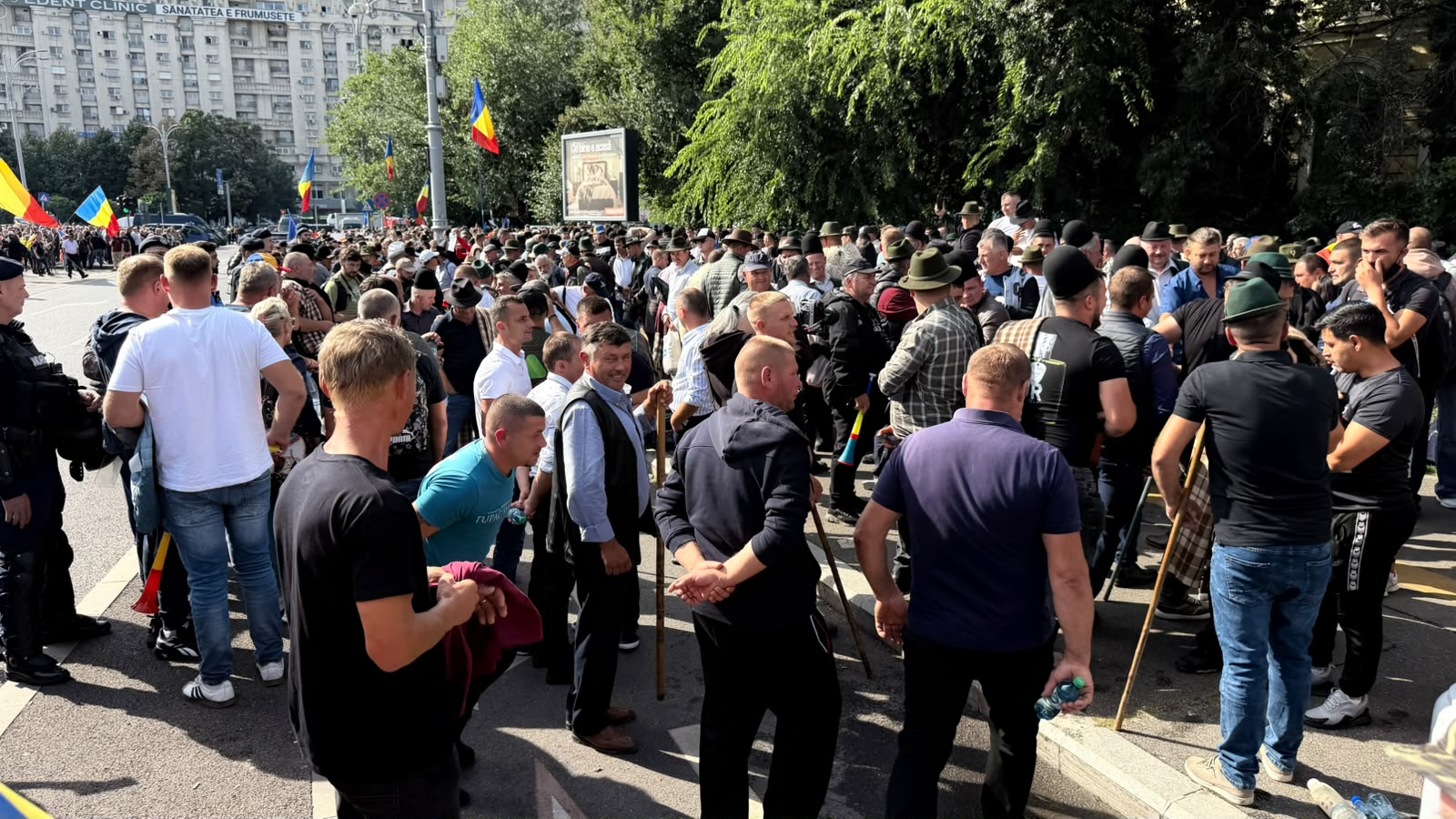Proteste în fața Guvernului: Ciobanii acuză că deciziile oficialilor le distrug afacerile