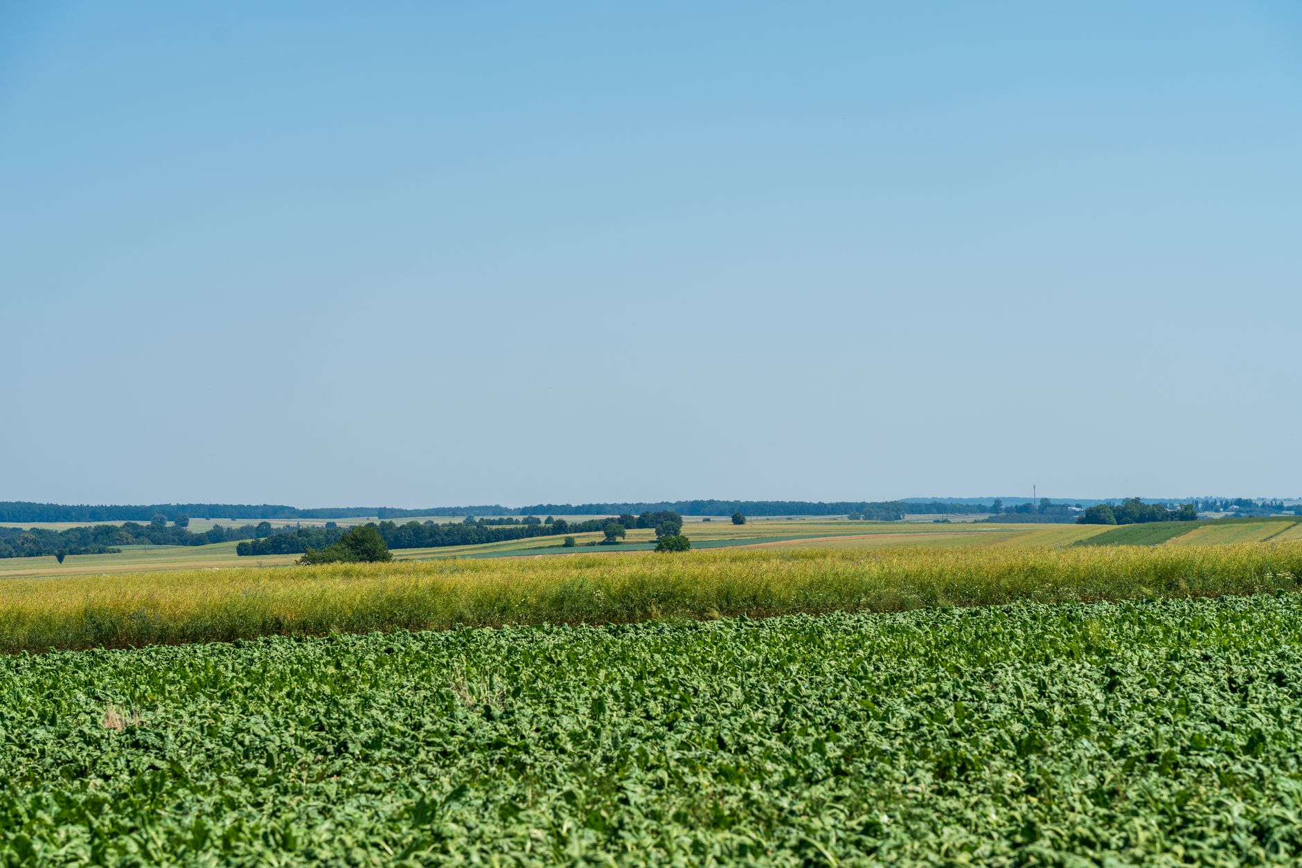 România și Italia coordonează un grup de 17 state pentru protejarea fondurilor europene de agricultură și coeziune