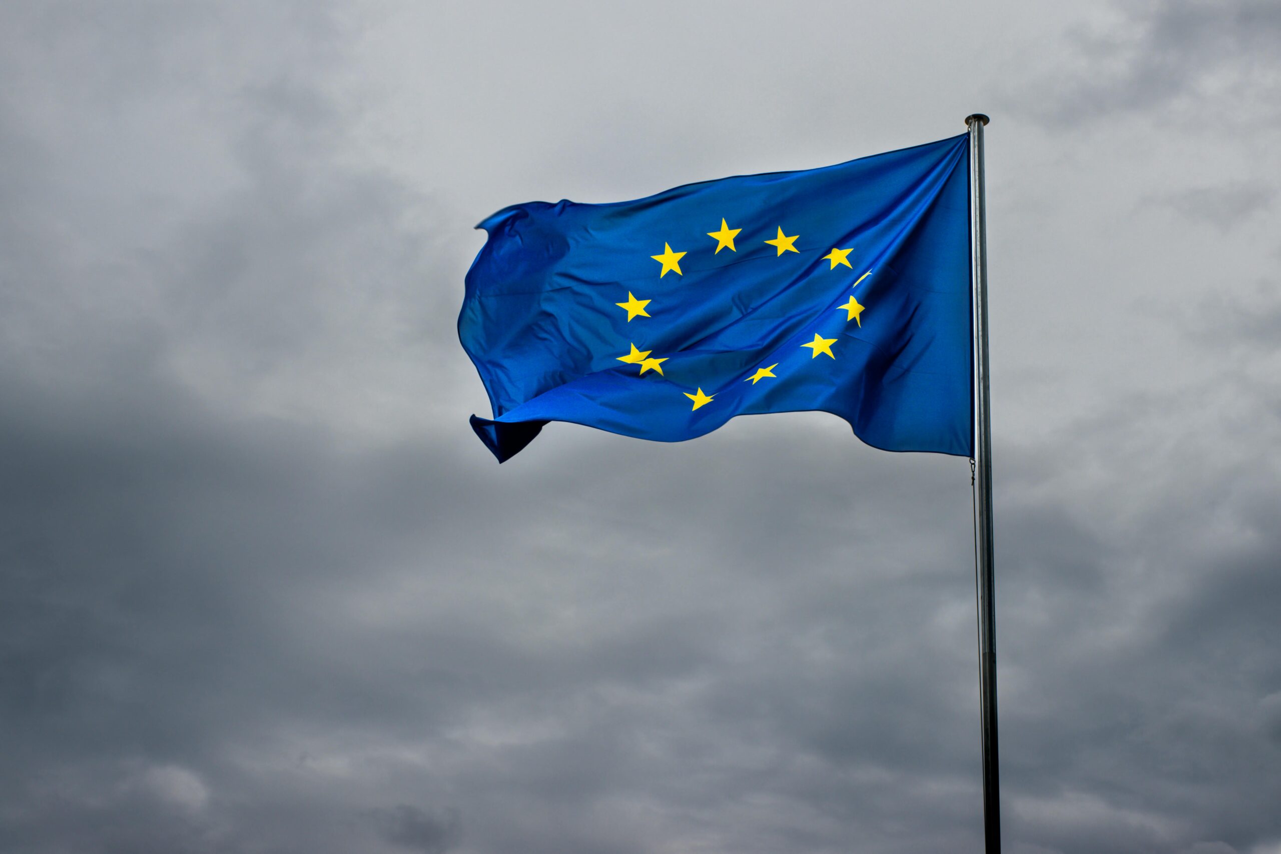 Think tank care l-a propulsat pe Nicușor Dan cere declanșarea alegerilor anticipate