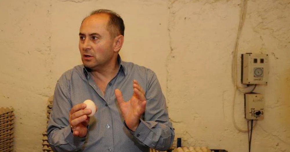 Dosarul Rețeaua Bogos: Stația de incubație din Vaslui ar fi generat 10 milioane de euro anual