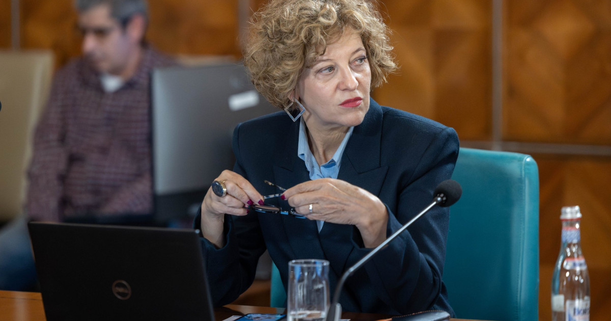 Poziția PNL față de guvernul Luca Niculescu: Votul depinde de program și de echipa de miniștri