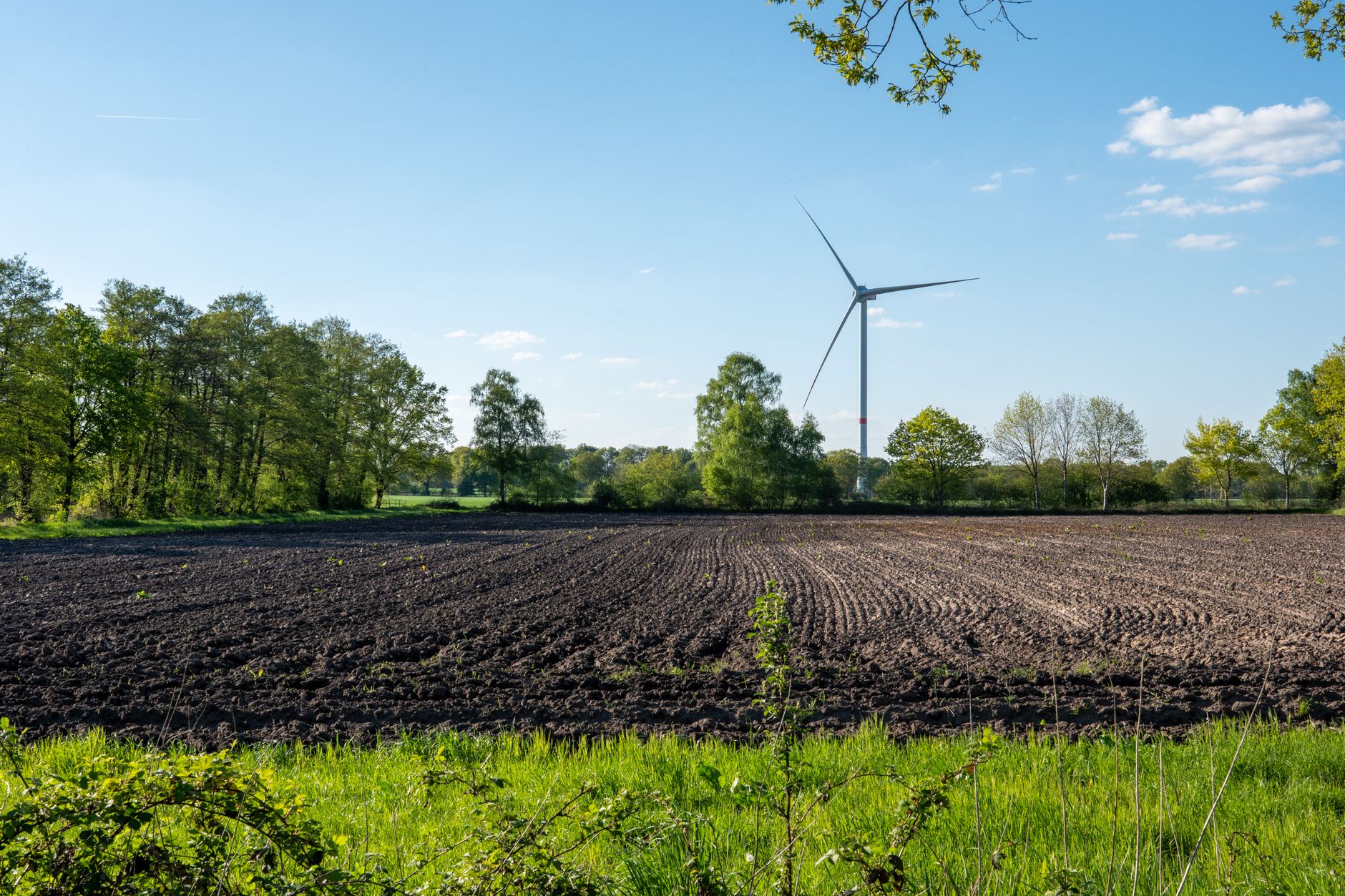 Comisia ENVI a respins la limită obiecția privind metodologia UE pentru carbon farming