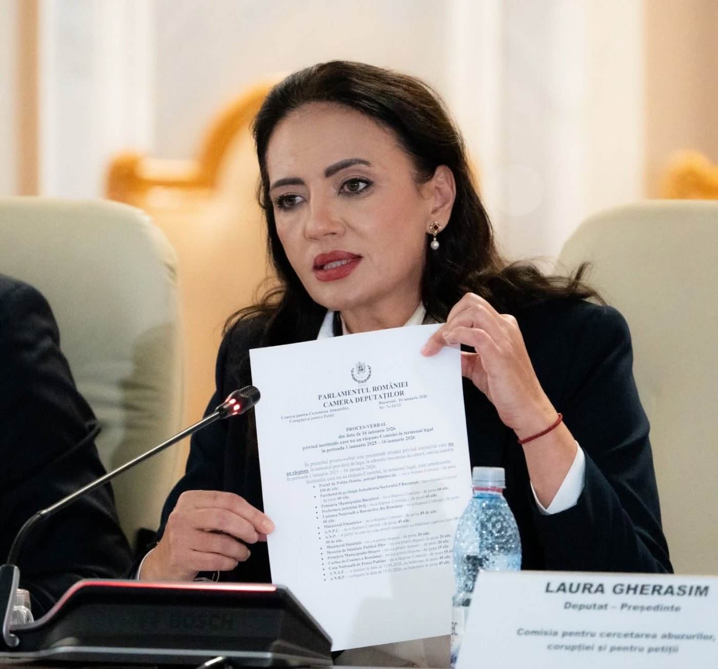 Laura Gherasim respinge acuzațiile de implicare a Comisiei de abuzuri în cazul Fănel Bogos și George Simion