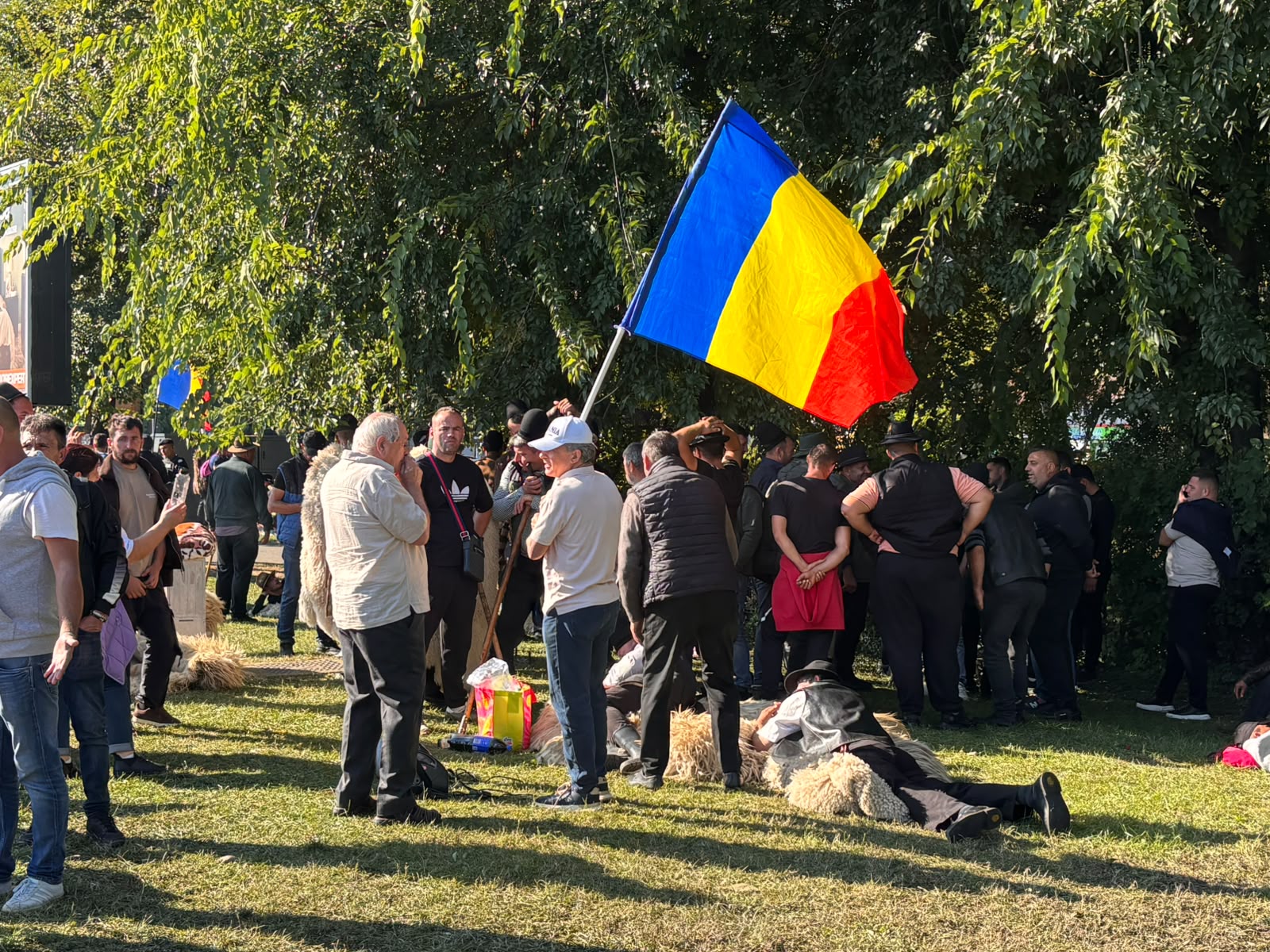 Proteste în Piața Victoriei: Ciobanii cer oprirea sacrificării animalelor și redeschiderea exporturilor