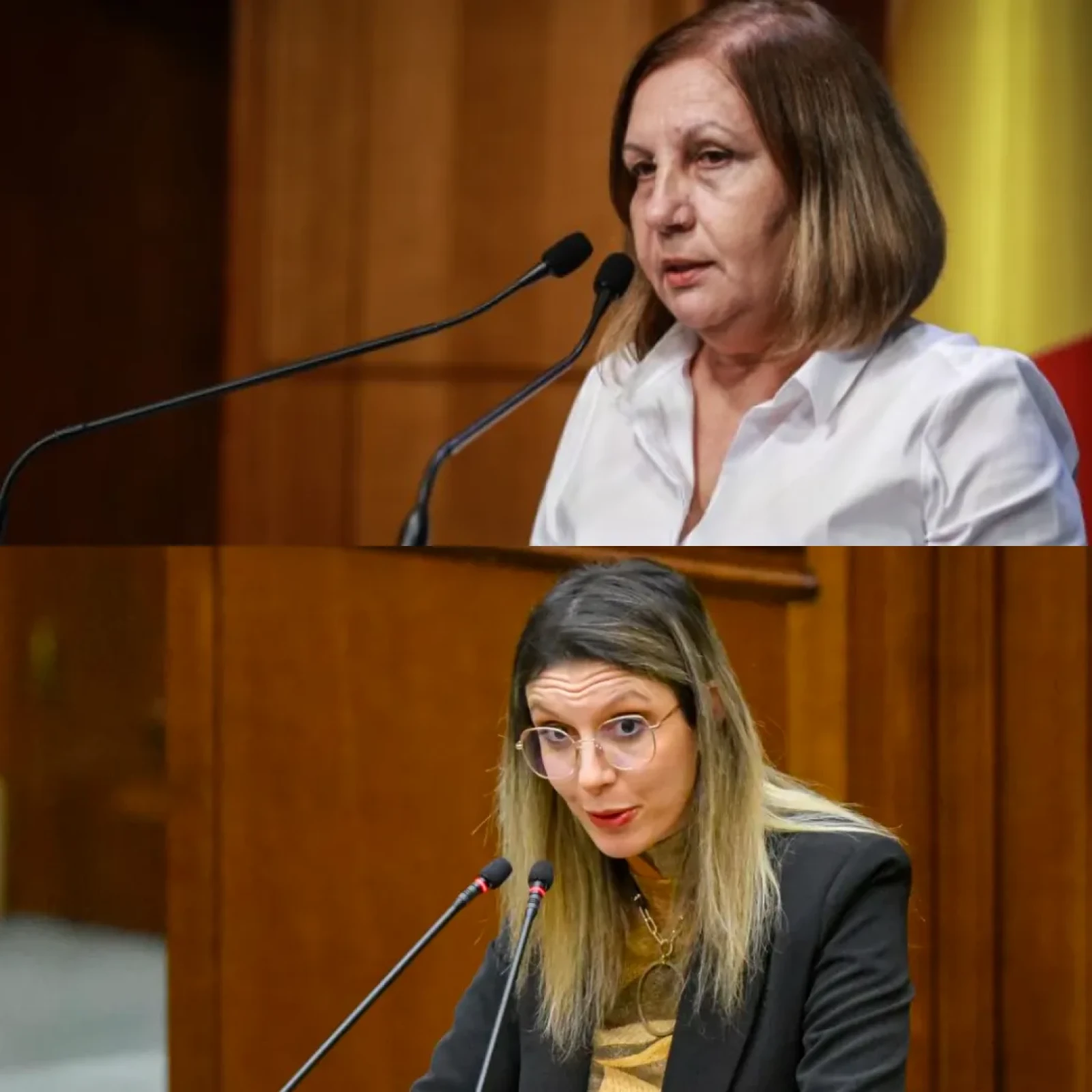 Achiziții de lux din fonduri publice la ANM: Diana Buzoianu cere demisia conducerii instituției