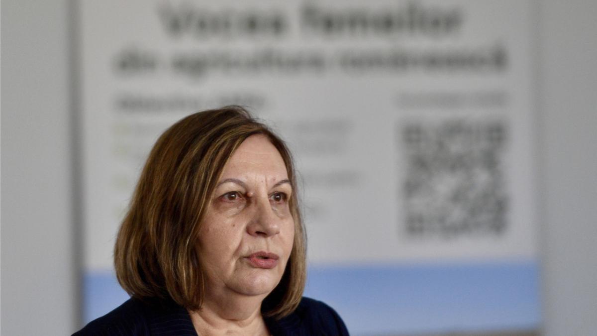 Elena Mateescu respinge acuzațiile ministrului Diana Buzoianu și susține că este ținta unei campanii politice