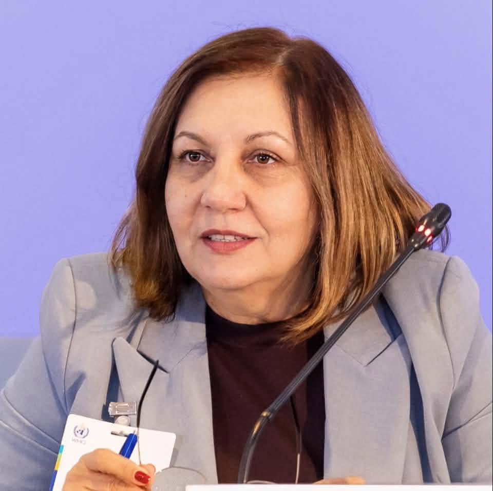 Elena Mateescu respinge acuzațiile privind achizițiile de la ANM și susține că este ținta unei campanii politice