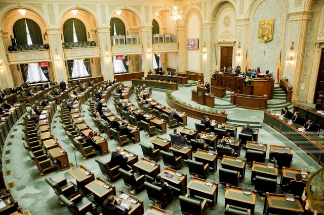 Senatul a adoptat declarația AUR privind protejarea intereselor naționale în cadrul politicii externe UE