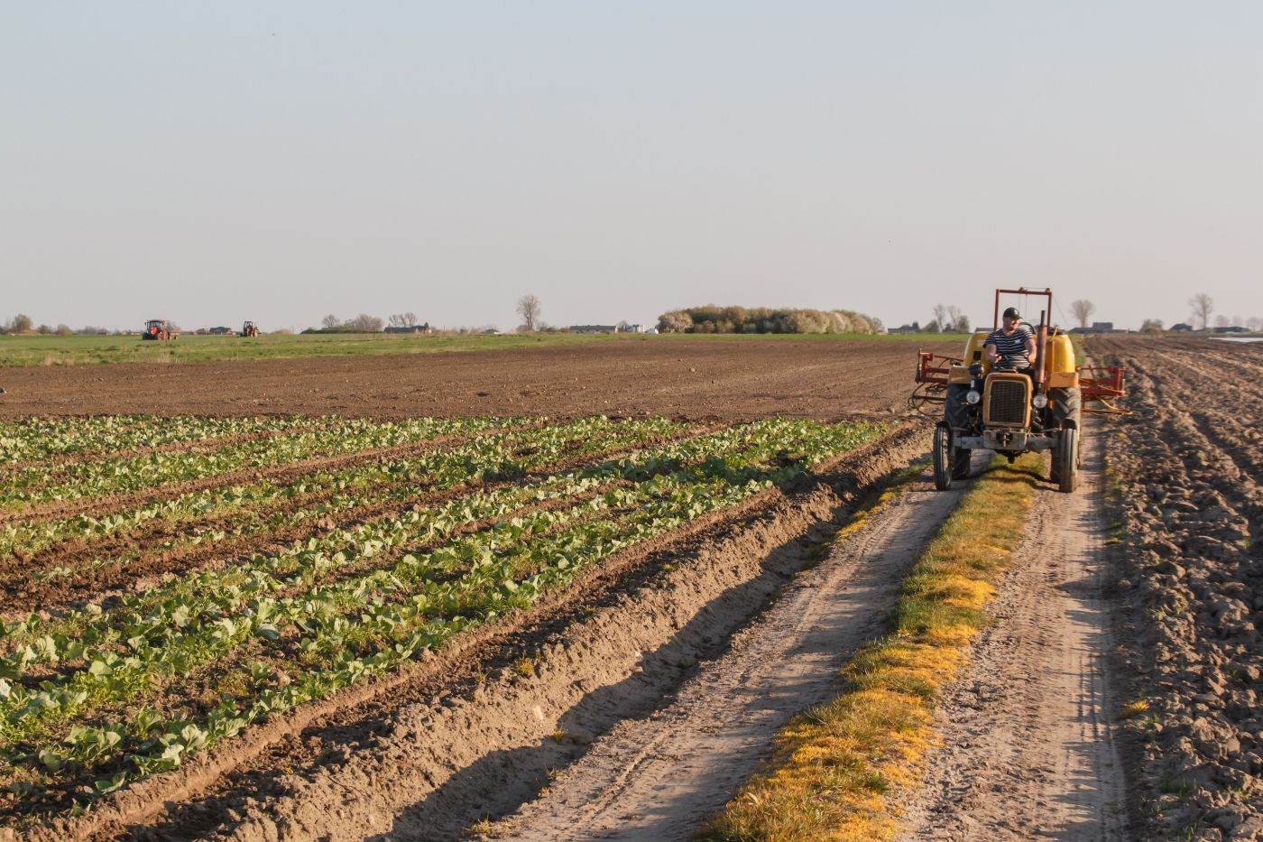 Franța, Polonia și Spania susțin procesul de aderare a Ucrainei la UE, în ciuda temerilor agricole